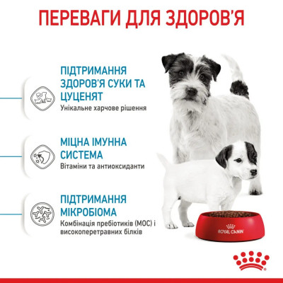 Сухий корм для цуценят мініатюрних порід Royal Canin Mini Starter 1 кг (домашня птиця) Сухий корм для цуценят мініатюрних порід Royal Canin Mini Starter 1 кг (домашня птиця)