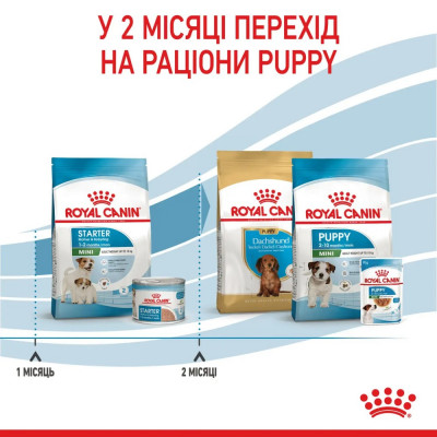 Сухий корм для цуценят мініатюрних порід Royal Canin Mini Starter 1 кг (домашня птиця) Сухий корм для цуценят мініатюрних порід Royal Canin Mini Starter 1 кг (домашня птиця)