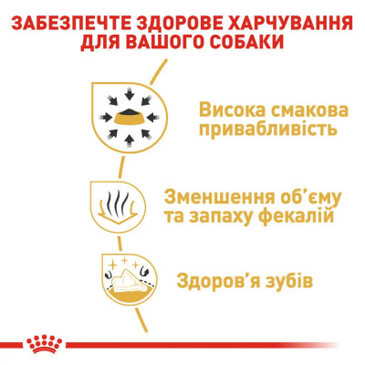 Сухий корм для дорослих собак породи чихуахуа Royal Canin Chihuahua Adult 1,5 кг + контейнер в подарок (домашня птиця)