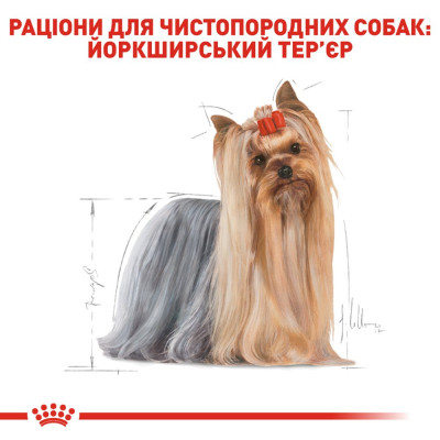 Вологий корм для дорослих собак породи йоркширський тер'єр Royal Canin Yorkshire Terrier Adult pouch 85 г (домашня птиця) Вологий корм для дорослих собак породи йоркширський тер'єр Royal Canin Yorkshire Terrier Adult pouch 85 г (домашня птиця)