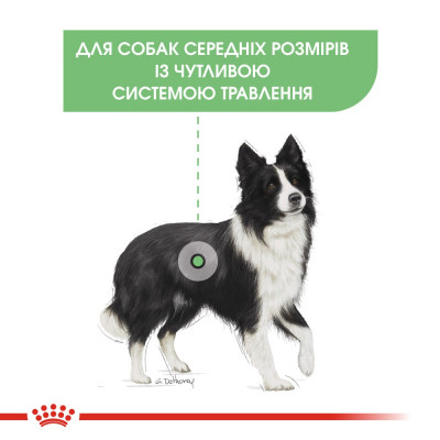 Корм сухий для собак середніх порід із чутливим травленням старше 12 місяців Royal Canin Medium Digestive Care 3 кг (домашній птах) Корм сухий для собак середніх порід із чутливим травленням старше 12 місяців Royal Canin Medium Digestive Care 3 кг (домашній птах)