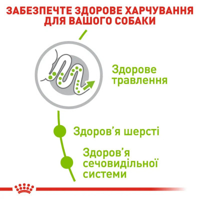 Сухой корм для собак миниатюрных пород Royal Canin X-Small Adult 500 г (домашняя птица) Сухой корм для собак миниатюрных пород Royal Canin X-Small Adult 500 г (домашняя птица)