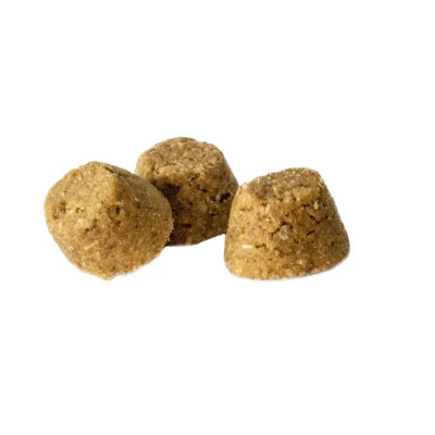 Сухий корм Oven-Baked Tradition Dog Adult 11,34 кг - ягня Сухий корм Oven-Baked Tradition Dog Adult 11,34 кг - ягня