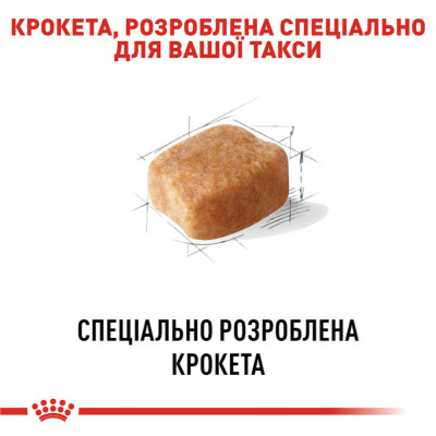 Сухий корм для дорослих собак породи такса Royal Canin Dachshund Adult 1,5 кг (домашня птиця) Сухий корм для дорослих собак породи такса Royal Canin Dachshund Adult 1,5 кг (домашня птиця)