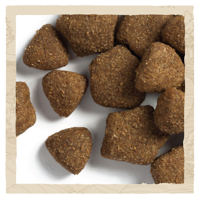 Сухий корм для дорослих собак всіх порід Dog Chow Adult Lamb 14 кг (ягня) Сухий корм для дорослих собак всіх порід Dog Chow Adult Lamb 14 кг (ягня)