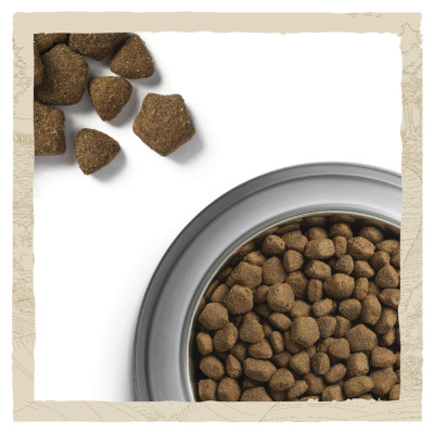 Сухий корм для дорослих собак всіх порід Dog Chow Adult Lamb 14 кг (ягня) Сухий корм для дорослих собак всіх порід Dog Chow Adult Lamb 14 кг (ягня)