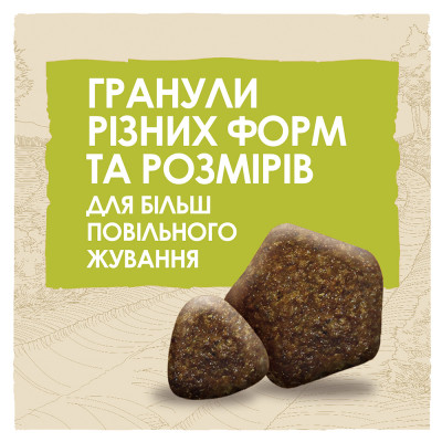 Сухий корм для дорослих собак всіх порід Dog Chow Adult Lamb 14 кг (ягня) Сухий корм для дорослих собак всіх порід Dog Chow Adult Lamb 14 кг (ягня)