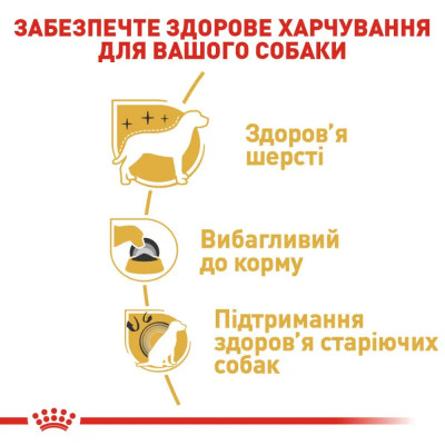 Сухий корм для собак породи Йоркширський тер'єр Royal Canin Yorkshire Terrier Adult 500 г (домашня птиця) Сухий корм для собак породи Йоркширський тер'єр Royal Canin Yorkshire Terrier Adult 500 г (домашня птиця)