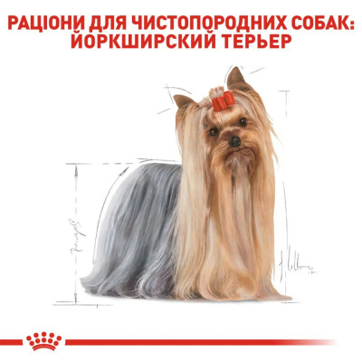 Сухий корм для собак породи Йоркширський тер'єр Royal Canin Yorkshire Terrier Adult 500 г (домашня птиця) Сухий корм для собак породи Йоркширський тер'єр Royal Canin Yorkshire Terrier Adult 500 г (домашня птиця)