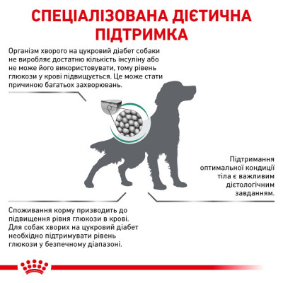Сухий корм для дорослих собак Royal Canin Diabetic Dog 1,5 кг (домашній птах) Сухий корм для дорослих собак Royal Canin Diabetic Dog 1,5 кг (домашній птах)