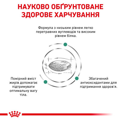 Сухий корм для дорослих собак Royal Canin Diabetic Dog 1,5 кг (домашній птах) Сухий корм для дорослих собак Royal Canin Diabetic Dog 1,5 кг (домашній птах)