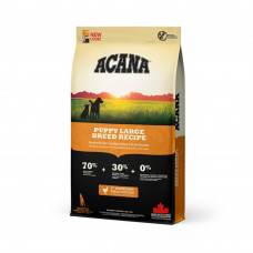Сухий корм для цуценят та молодих собак великих порід Acana Puppy Large Breed 11,4 кг