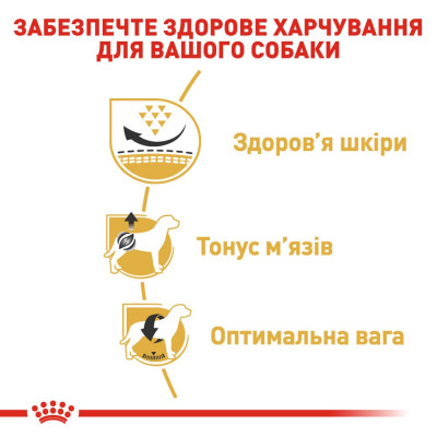 Сухий корм для дорослих собак породи мопс Royal Canin Pug Adult 3 кг (домашня птиця) Сухий корм для дорослих собак породи мопс Royal Canin Pug Adult 3 кг (домашня птиця)