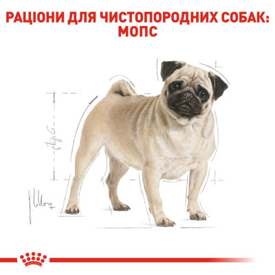 Сухий корм для дорослих собак породи мопс Royal Canin Pug Adult 3 кг (домашня птиця) Сухий корм для дорослих собак породи мопс Royal Canin Pug Adult 3 кг (домашня птиця)