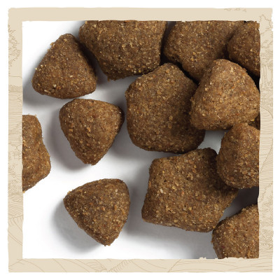 Сухий корм для дорослих собак великих порід Dog Chow Adult Large Breed Turkey 14 кг (індичка)