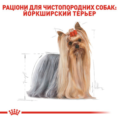 Сухий корм для дорослих собак породи йоркширський тер'єр Royal Canin Yorkshire Terrier Adult 1,5 кг (домашня птиця)
