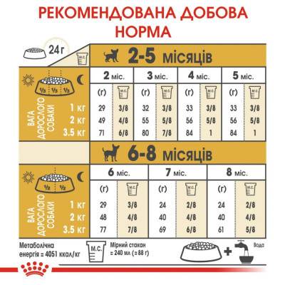 Сухий корм для цуценят породи Чихуахуа Royal Canin Puppy Chihuahua 500 г (домашня птиця) Сухий корм для цуценят породи Чихуахуа Royal Canin Puppy Chihuahua 500 г (домашня птиця)