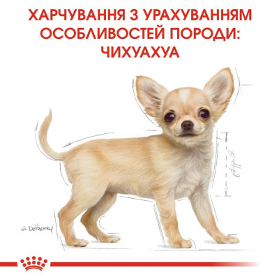 Сухий корм для цуценят породи Чихуахуа Royal Canin Puppy Chihuahua 500 г (домашня птиця) Сухий корм для цуценят породи Чихуахуа Royal Canin Puppy Chihuahua 500 г (домашня птиця)