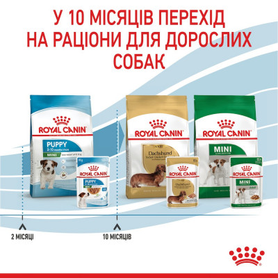 Вологий корм для цуценят міні порід Royal Canin Mini Puppy 85 г, 3+1 шт у подарунок (домашня птиця) Вологий корм для цуценят міні порід Royal Canin Mini Puppy 85 г, 3+1 шт у подарунок (домашня птиця)