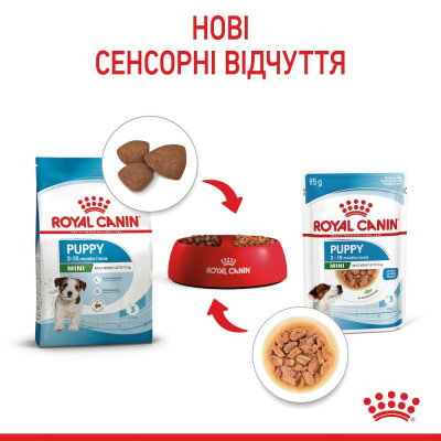 Вологий корм для цуценят міні порід Royal Canin Mini Puppy 85 г, 3+1 шт у подарунок (домашня птиця) Вологий корм для цуценят міні порід Royal Canin Mini Puppy 85 г, 3+1 шт у подарунок (домашня птиця)
