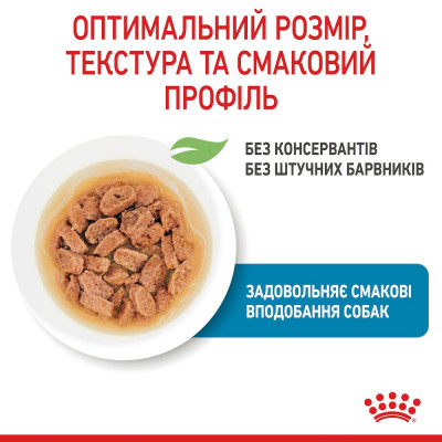 Вологий корм для цуценят міні порід Royal Canin Mini Puppy 85 г, 3+1 шт у подарунок (домашня птиця) Вологий корм для цуценят міні порід Royal Canin Mini Puppy 85 г, 3+1 шт у подарунок (домашня птиця)
