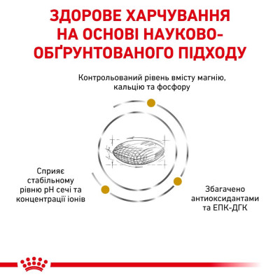 Сухий корм для собак, при захворюваннях сечовивідних шляхів Royal Canin Urinary S/O, 2 кг (домашня птиця) Сухий корм для собак, при захворюваннях сечовивідних шляхів Royal Canin Urinary S/O, 2 кг (домашня птиця)