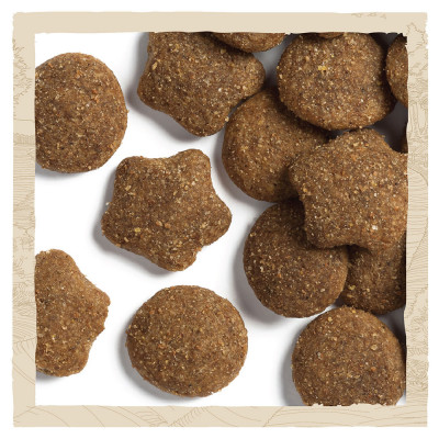 Сухий корм для цуценят та молодих собак великих порід Dog Chow Puppy Large Breed Turkey 14 кг (індичка) Сухий корм для цуценят та молодих собак великих порід Dog Chow Puppy Large Breed Turkey 14 кг (індичка)