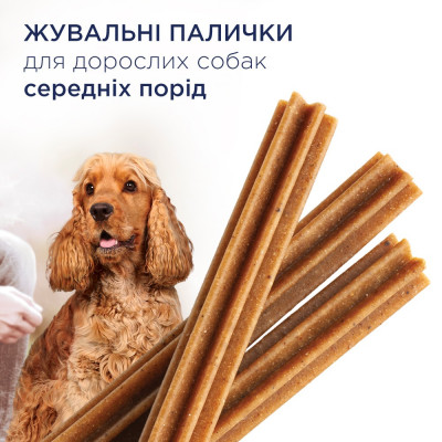 Ласощі для собак середніх порід Club 4 Paws Dental Sticks, 77 г Ласощі для собак середніх порід Club 4 Paws Dental Sticks, 77 г