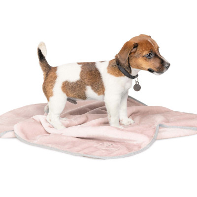 Плед Pet Fashion «Bliss» 77 см / 60 см (рожевий) Плед Pet Fashion «Bliss» 77 см / 60 см (рожевий)
