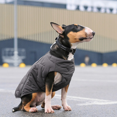 Жилет для собак Pet Fashion E.Vest XS-2 (сірий) Жилет для собак Pet Fashion E.Vest XS-2 (сірий)