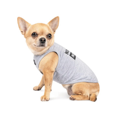 Борцівка для собак Pet Fashion «No food-no mood» XS