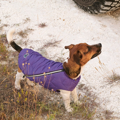 Жилет для собак Pet Fashion E.Vest M-2 (фіолетовий) Жилет для собак Pet Fashion E.Vest M-2 (фіолетовий)