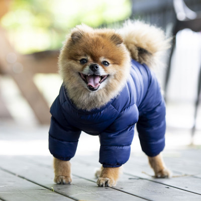 Комбинезон для собак ультралегкий Puppia А, L (синий) Комбинезон для собак ультралегкий Puppia А, L (синий)