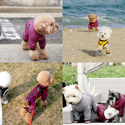 Дощовик для собак Puppy Angel «Magagio» S