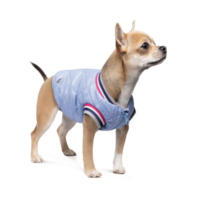 Бомбер для собак Pet Fashion «Spike» XL