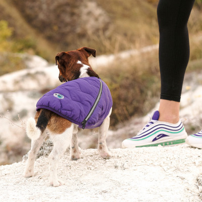 Жилет для собак Pet Fashion E.Vest М (фіолетовий) Жилет для собак Pet Fashion E.Vest М (фіолетовий)