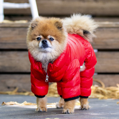 Комбінезон для собак ультралегкий Puppia B, M (червоний) Комбінезон для собак ультралегкий Puppia B, M (червоний)