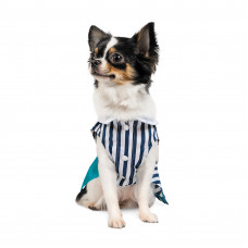 Сукня для собак Pet Fashion «Band» XS-2 (багатокольорова)