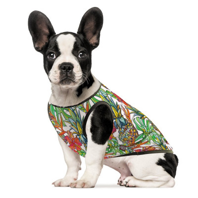 Борцовка для собак Pet Fashion «Рио» S-2