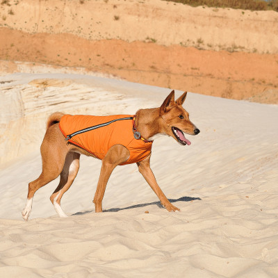 Жилет для собак Pet Fashion E.Vest S-M (помаранчевий) Жилет для собак Pet Fashion E.Vest S-M (помаранчевий)