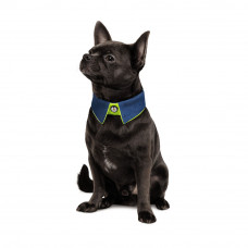 Воротник для собак Pet Fashion «BRIGHT» S-M