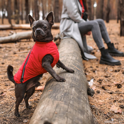 Жилет для собак Pet Fashion E.Vest L (червоный) Жилет для собак Pet Fashion E.Vest L (червоный)