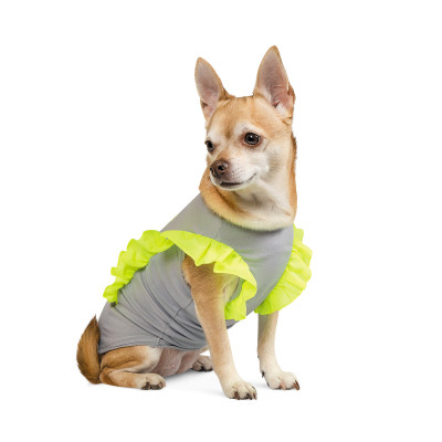 Футболка для собак Pet Fashion «Sunkissed» XS-2 (сіра)
