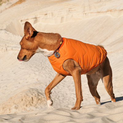 Жилет для собак Pet Fashion E.Vest S (помаранчевий) Жилет для собак Pet Fashion E.Vest S (помаранчевий)