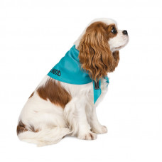 Бандана для собак Pet Fashion «WEEKEND» XS-S