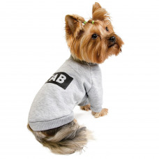 Товстівка для собак Pet Fashion «Дарю любовь за вкусняшку» M