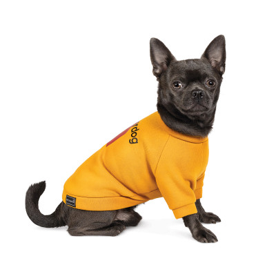 Товстівка для собак Pet Fashion «Superdog» XS-2