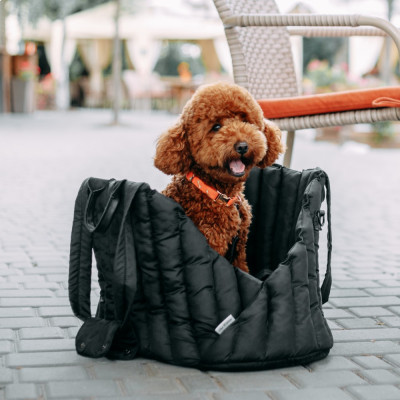 Сумка-переноска для собак і котів Aria Black | S 50x30x32см (чорна) Сумка-переноска для собак і котів Aria Black | S 50x30x32см (чорна)