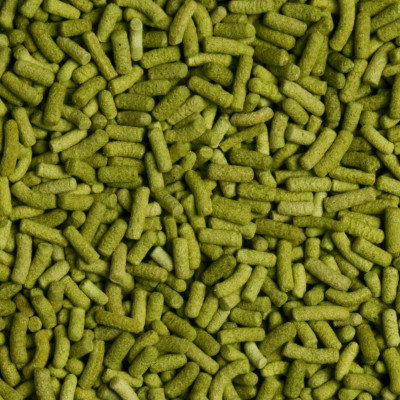 Сухой корм для сухопутных черепах Tropical в палочках «Biorept L» 100 мл Сухой корм для сухопутных черепах Tropical в палочках «Biorept L» 100 мл