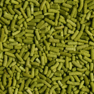 Сухой корм для сухопутных черепах Tropical в палочках «Biorept L» 250 мл Сухой корм для сухопутных черепах Tropical в палочках «Biorept L» 250 мл